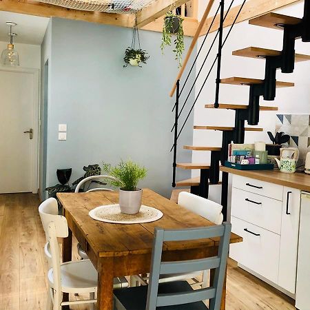 Maison Duplex, Avec Terrasse Dans ストラスブール エクステリア 写真